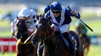 Second Champions Festival winner of the weekend for Whelan