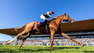 Moore hails Kyprios after superstar turns in scintillating display at the Curragh