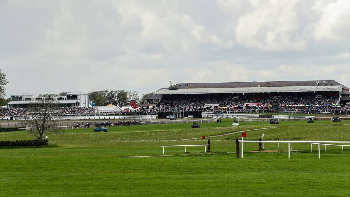 Preview of today's action in Punchestown