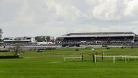 Preview of today's action in Punchestown