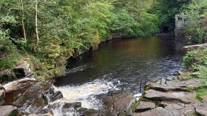 Kildare man was a nuisance to swimmers at tourist spot, court hears