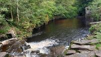 Kildare man was a nuisance to swimmers at tourist spot, court hears