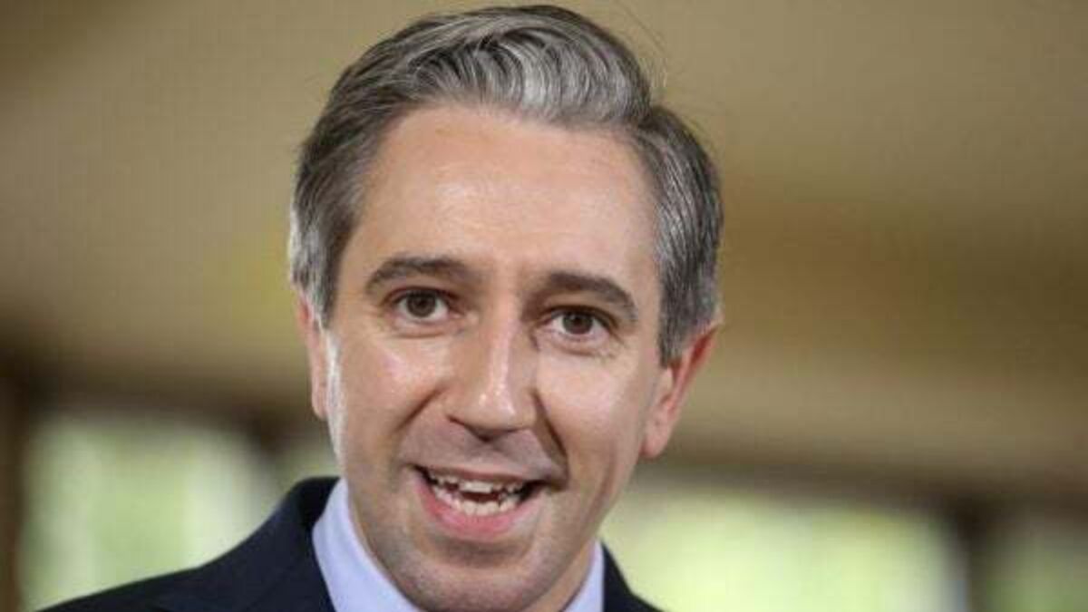 Poll shows rise in support for Fine Gael and Simon Harris