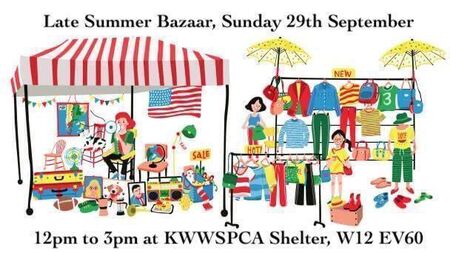 Kildare animal charity holding bazaar this weekend