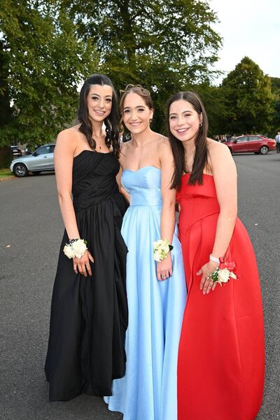 Kate McCarty, Molly Bale and Anna Leavy Kate McCarty, Molly Bale and Anna Leavy