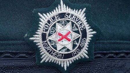 Man arrested after car overturns in Co Down