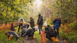 Acorn gathering event at Kildare woods