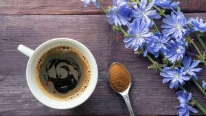 Living Greener: Chicory will give you fresh vitamins through the winter