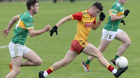 Larries slip through the trapdoor 