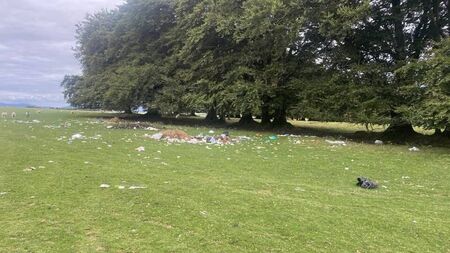 Kildare not at the races as Tipp sweeps up Curragh contract