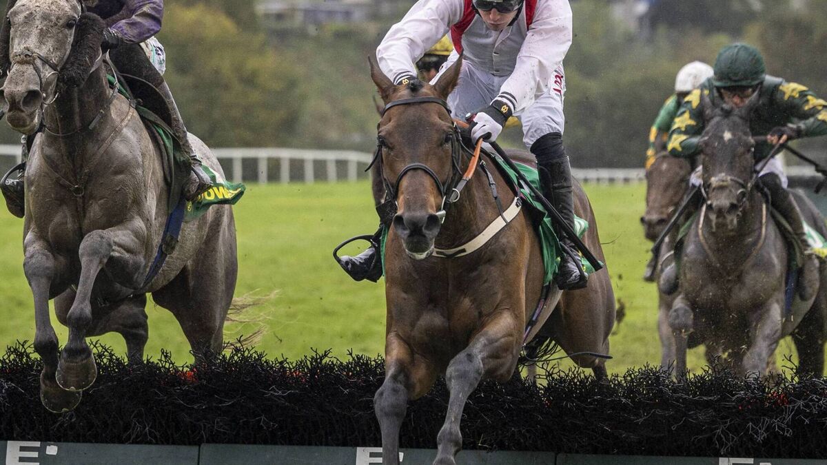 Plenty of Kildare success in Listowel