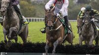 Plenty of Kildare success in Listowel