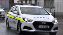 Car struck several garda vehicles 