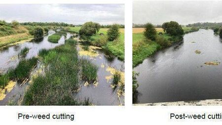 Kildare Co Council using weed-cutting boat on the River Barrow