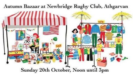 Kildare animal charity needs to help to find new home