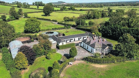 Kildare stud farm heading for auction with  €1.5m guide price 