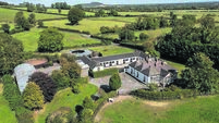 Kildare stud farm heading for auction with  €1.5m guide price 