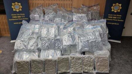 Four men arrested after seizure of cannabis worth €8.5 million in Dublin