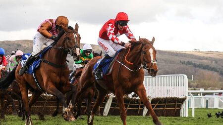 The jumps are back as Kildare track kicks off new season with two-day meeting
