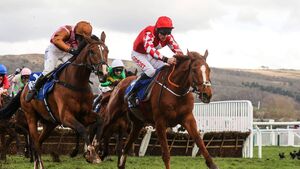 The jumps are back as Kildare track kicks off new season with two-day meeting The jumps are back as Kildare track kicks off new season with two-day meeting