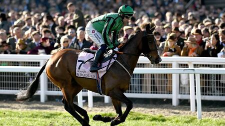 Hewick the star attraction at Punchestown today