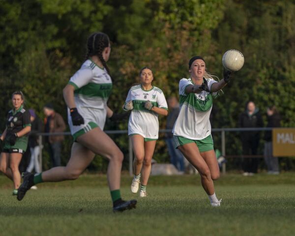 Sallins Haley McCormack passes onto to Aoife Kenny Photo: Aisling Hyland