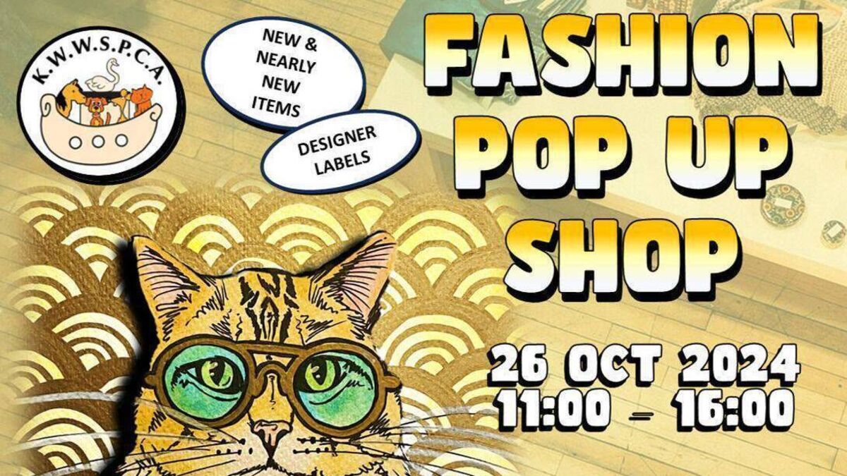 Pop-up shop for Kildare animal charity