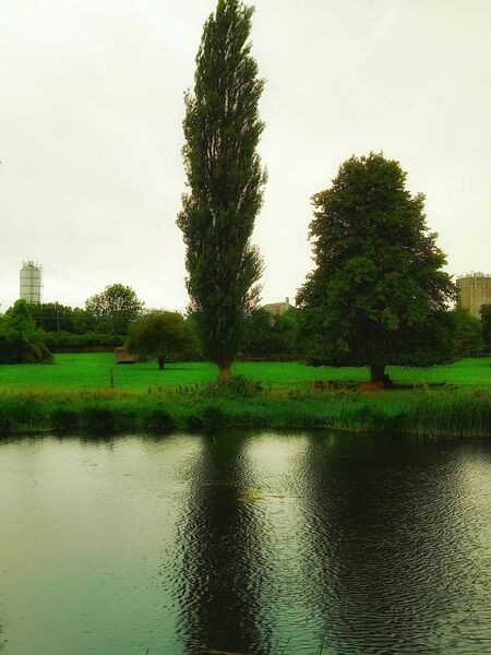 Plain behind the River Barrow 