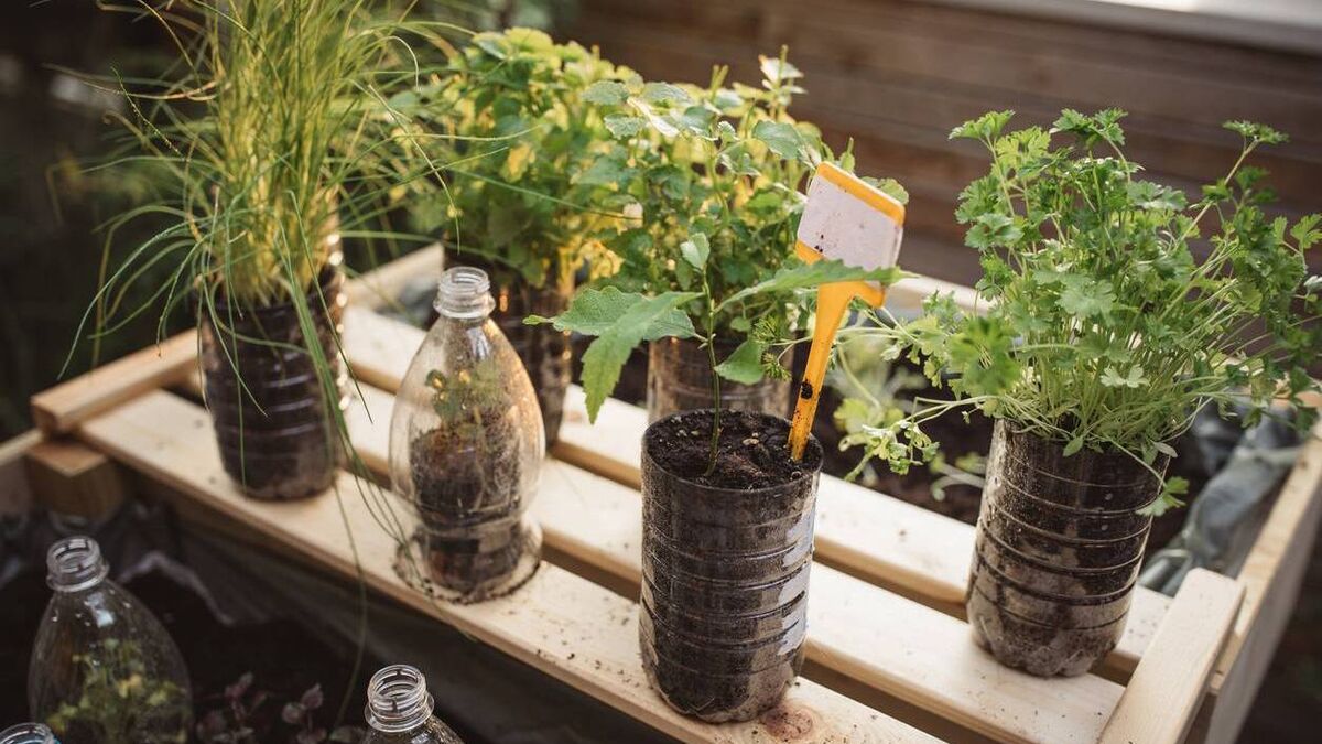 Living Greener: Give your rubbish a new life
