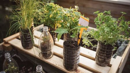 Living Greener: Give your rubbish a new life