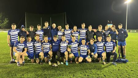 Naas clinch another title
