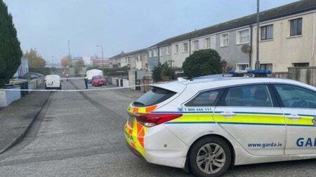 Man who died in Carlow assault named locally