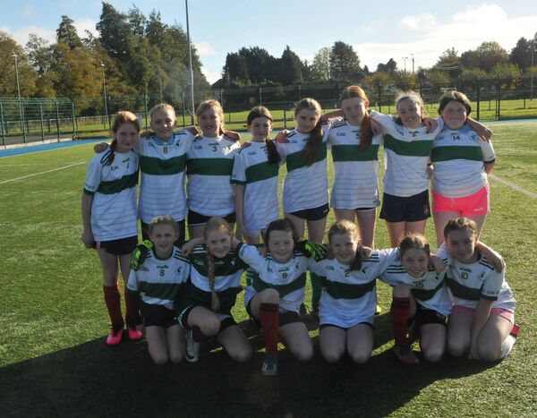 The Donard NS put up a good show but were beaten in the Division 3 final Photo: Martin Rowe