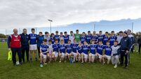 Castledermot hold off strong finishing Confey to lift MFC 'D' title