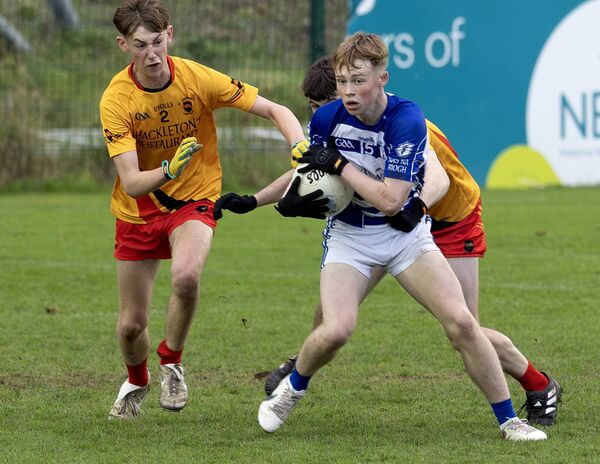 Naas' Euan Cowzer Photo: Sean Brilly