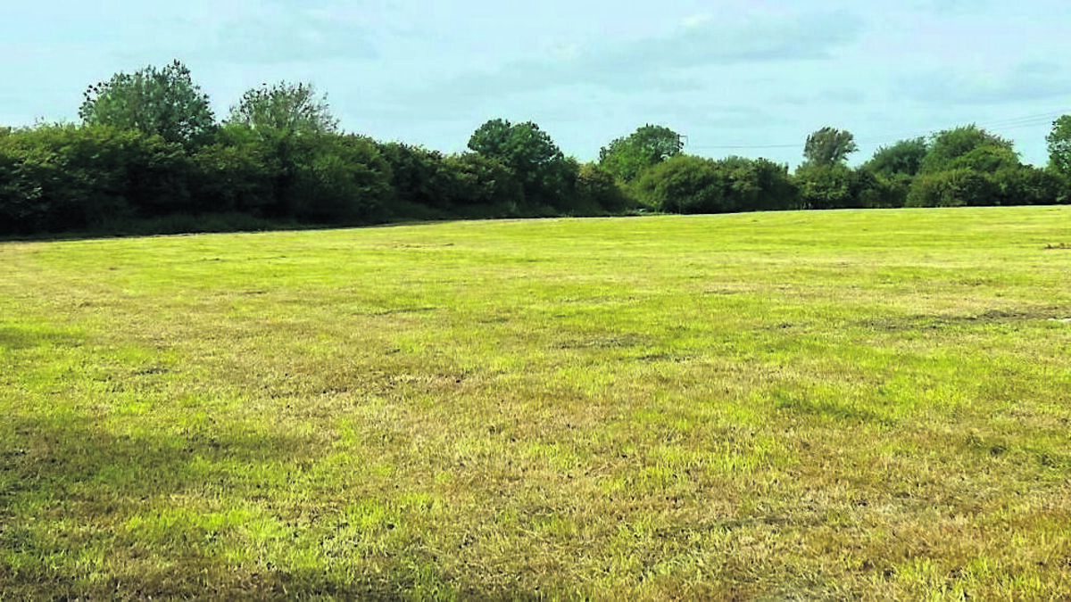 Kildare lands sells for €16,000 per acre
