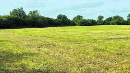 Kildare lands sells for €16,000 per acre