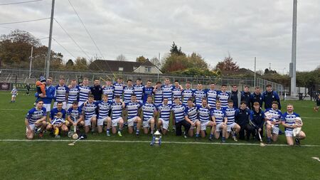 Naas make it six-in-a-row with classy display