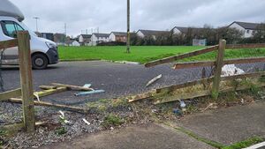 Newbridge club vows to fight to make grounds safe after vandals destroy their pitches