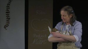 Púca show comes to Riverbank Púca show comes to Riverbank