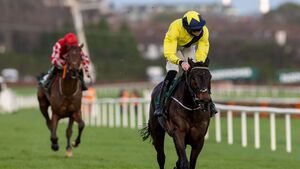 Preview of Sunday's action at Naas Racecourse