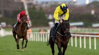 Preview of Sunday's action at Naas Racecourse