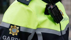 UPDATED: Man arrested in connection with fatal Kildare hit-and-run