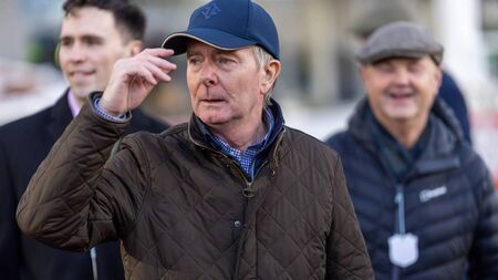 Connell pleased with Marine Nationale's reappearance despite defeat at Naas