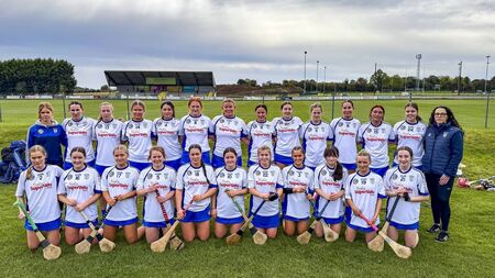First Leinster final appearance is a source of great pride for Naas camogie