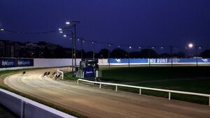 Melia aiming to make Irish Derby final with A Lucky Julie Melia aiming to make Irish Derby final with A Lucky Julie