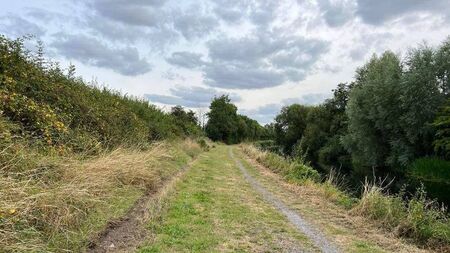 Concern over ‘excessive clearing’ of vegetation along the River Barrow