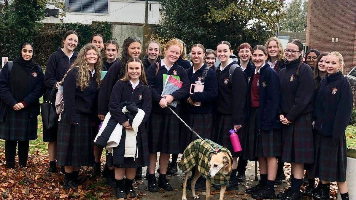 Kildare Rescue Tails: Charity receives grant of over €60,000