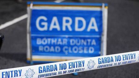 Driver in his 20s killed in Co Cork crash