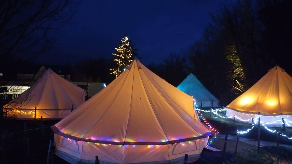 Athy man unveils Ireland's tallest Christmas tree